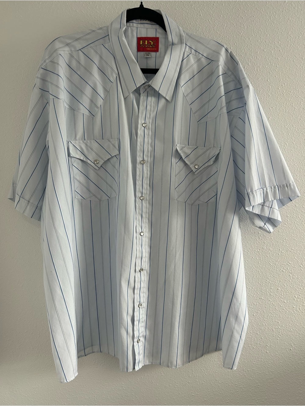 Ely Plains Light Blue Striped Short-Sleeve Western Shirt